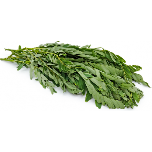 Buy SESBANIA GRANDIFLORA 250g Online