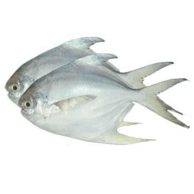 Buy Silver Pomfret Vavval Meen Online in UK