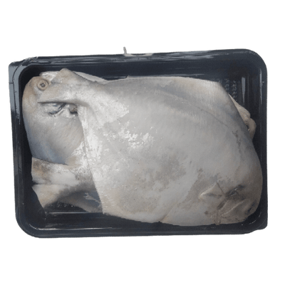 PRE-ORDER SILVER POMFRET (VAVVAL MEEN) - CLEANED (700G TO 800G)
