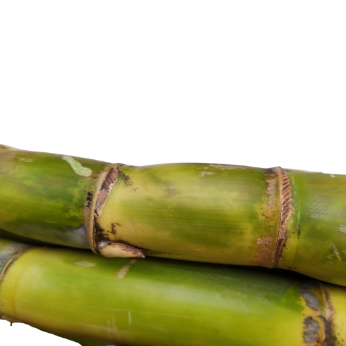 Buy Sugarcane Cut Pieces Online