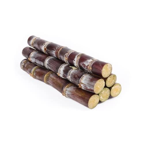Buy SUGARCANE - CUT PIECES Online