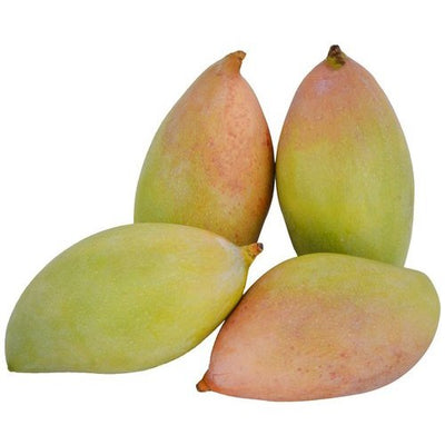 Buy INDIAN MANGOES  online, Lakshmi Stores,UK