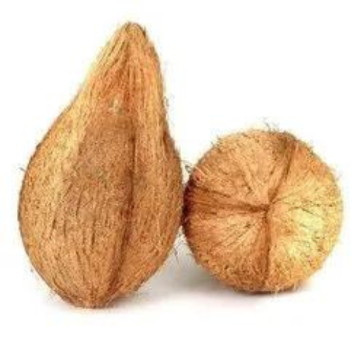 COCONUT (THENGAI)