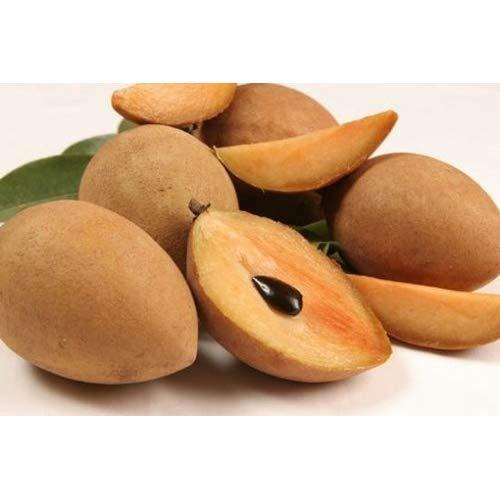 Buy Fresh SAPOTA (Chikoo) 500G Online