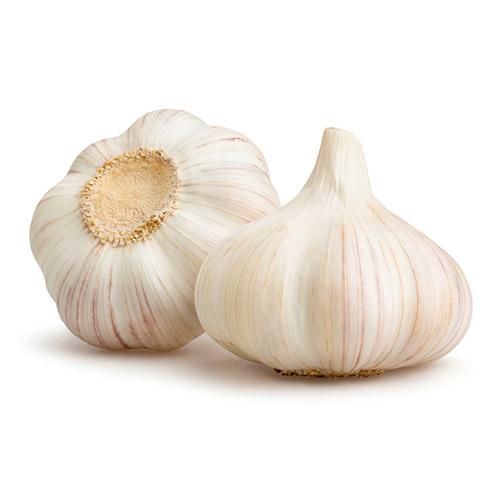 Buy Garlic 1Kg Loose Online
