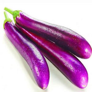 Buy Long Aubergine (Srilankan Kathirikkai) 1KG Online