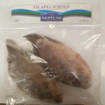 Buy NEPTUNE FROZEN TILAPIA WHOLE Online in UK